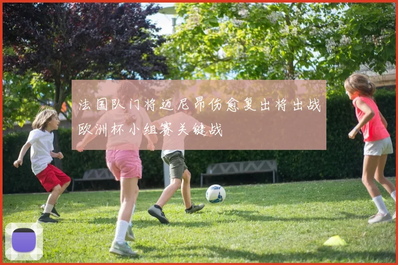 法国队门将迈尼昂伤愈复出将出战欧洲杯小组赛关键战
