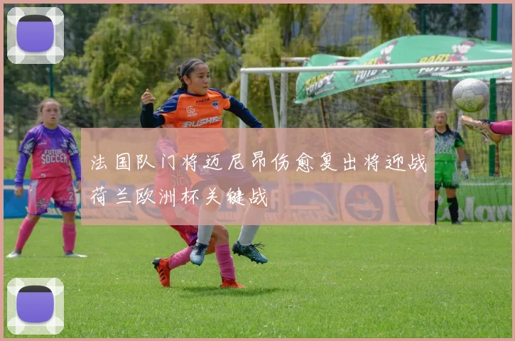 法国队门将迈尼昂伤愈复出将迎战荷兰欧洲杯关键战