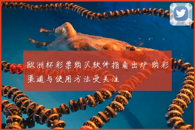 欧洲杯彩票购买软件指南出炉 购彩渠道与使用方法受关注