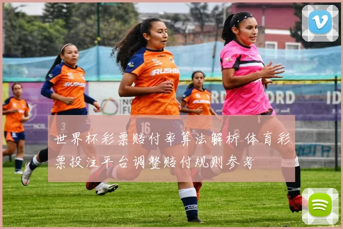 世界杯彩票赔付率算法解析 体育彩票投注平台调整赔付规则参考