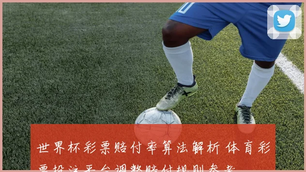 世界杯彩票赔付率算法解析 体育彩票投注平台调整赔付规则参考