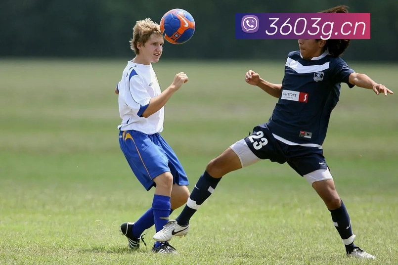 开云kaiyun平台生态图